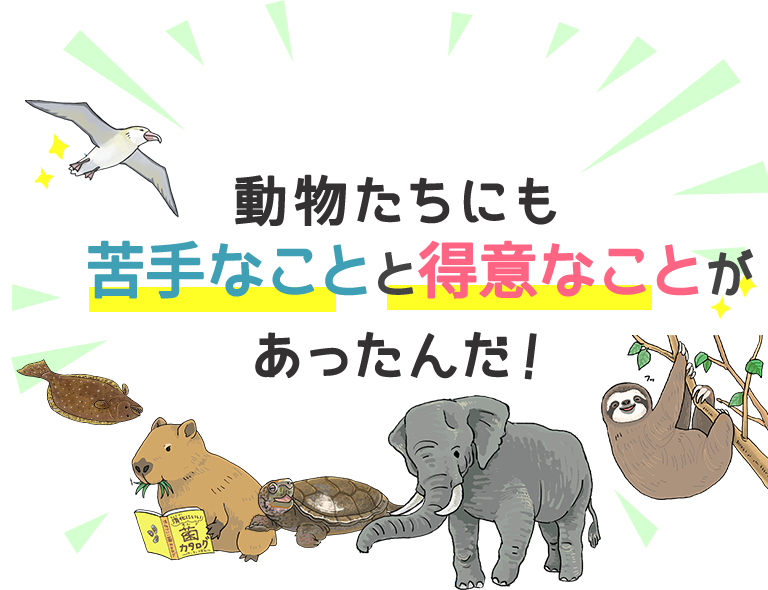 動物たちにも苦手なことと得意なことがあったんだ！